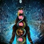 எங்களைப் பற்றி