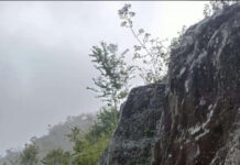 பயிற்சியும் இடமும்