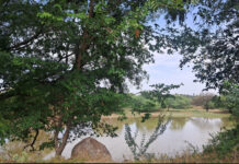 பறவைபார்த்தல் வகுப்புகள்