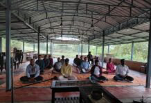 விபாசனாவின் விடுதலை