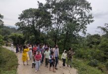 பறவைகளின் குழந்தைகள்