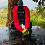 இசைநாட்கள்