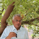 மூளைச்சோம்பல்