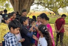 சிறுவர்கள், தாவரங்கள்