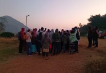 பறவையுடன் புதிய ஆண்டு!