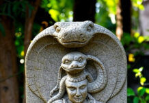 ஆறுதரிசனங்களைப் பயில