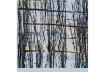 நவீனத் தமிழிலக்கியத்தைக் கற்பது எப்படி?