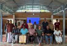 மூடுபனியும் ஆழ்வார்களும்