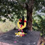 வாசிப்பின் வெற்றி- கடிதம்.