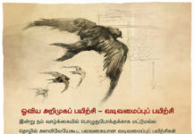 ஓவியமும் ஏ.ஐயும்.