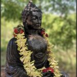 ஆனந்த விகடனில் என் தொடர்