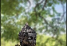 ஆனந்த விகடனில் என் தொடர்